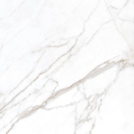 Larissa White Br 60×60