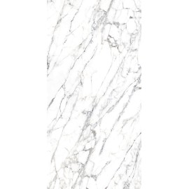 Arabescato Blanco 80×1.60