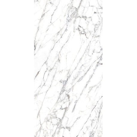 Arabescato Blanco 80×1.60